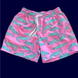 Men’s Chubbies Bathing Suit